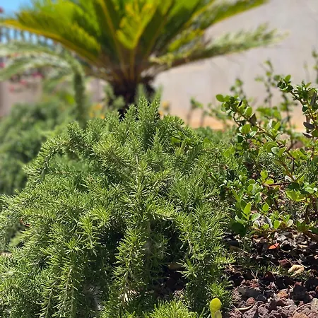 San Giorgio Apartahotel